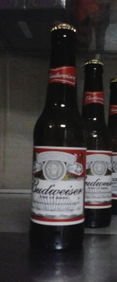 Standing bottles of Budweiser